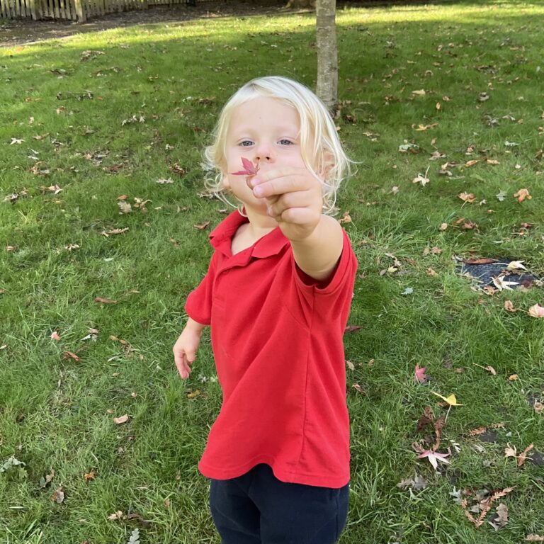 young child holding up a tiny leaf towards the camera