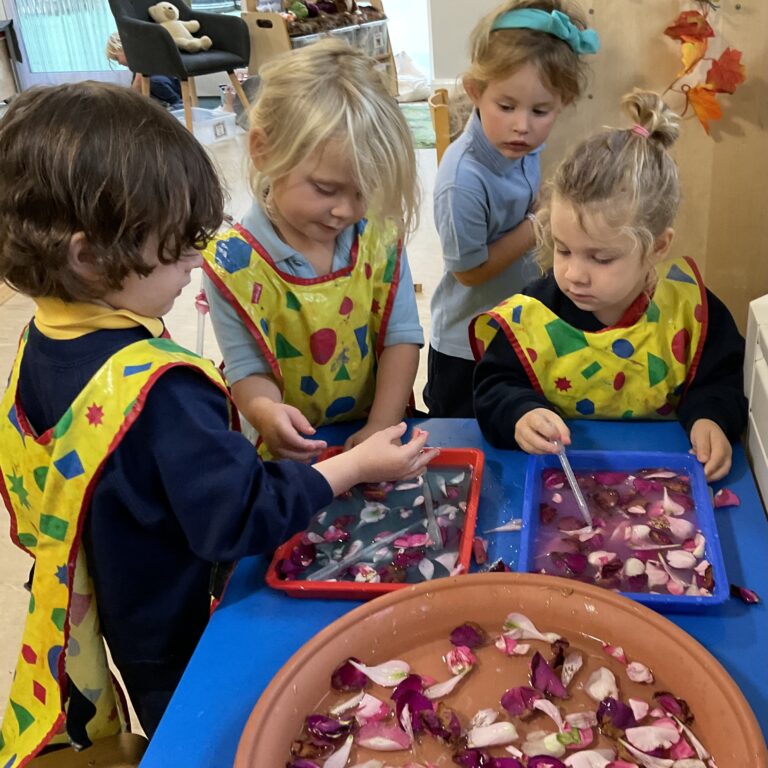 young children looking at flower petals in basins full of water